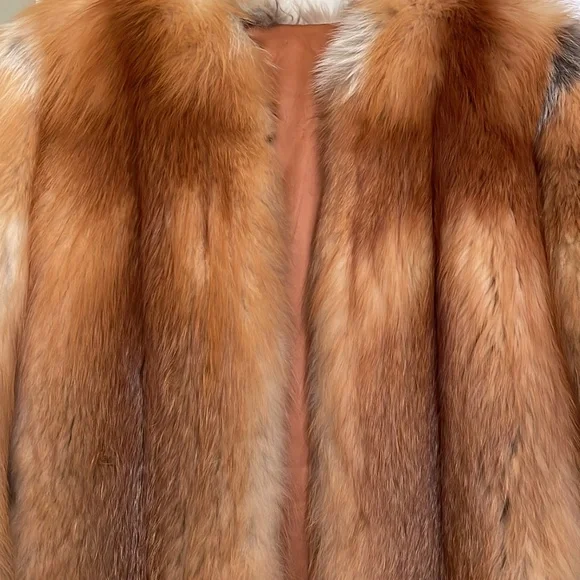 Red Fox - Picture 5 of 5